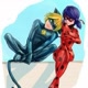ladybug e Cat Noir