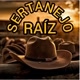 sertanejo Raiz