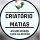 Matiascriatorio