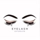 Aa lash beauty