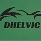 Dhelvic Official