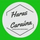 Haras Caraúna