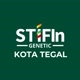 STIFIn Genetic Tegal