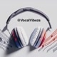 VocalVibezs