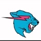 MR_BEAST