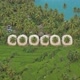 Coocaa