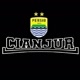 fans_persib