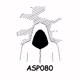 Asp080