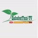 Sahabattani tv