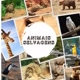 Animais selvagens