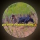 ZÉ_VITOR_VAQUEIRO_OFICIAL_🤠