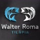 Walter Roma Tilápia