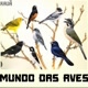 MUNDO DAS AVES 🐦