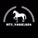 HITS VAQUEJADAA