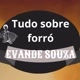 Tudo sobre forró