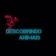 DESCOBRINDO ANIMAIS