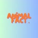 Animal Fact AI