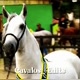 CAVALOS_EDITS⭐
