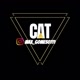 CAT CAT