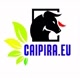 caipira.eu.ofc