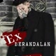 Ex Berandalan