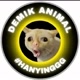 Demik animal official