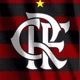 Flamengo raiz