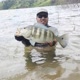 Pescador Araujo