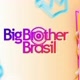 big brother Brasil 24
