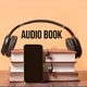 áudio livro 📕📕📕