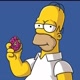 HOMER