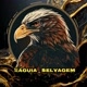 鷲Águia _ Selvagem