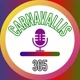 Carnavallis 365