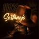 100% sertanejo 🎸