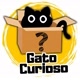 gato_curioso