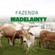 Fazenda Madelainny
