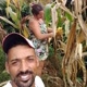 REINALDO DO AGRO