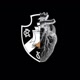 Vasco da gama fc