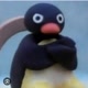 pingu