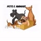 pets animais 🐈🐕