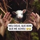 # DEUS PAÍ DE TODOS 🤲🙌🤲