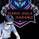 Haris Gula Habang