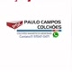 paulo campos colchoes