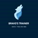 Bravos Trainer Dog