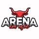 ARENA EM AÇÃO