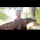 SOENANG MANCING