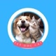Pet Dog Cat