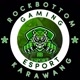 rock_bottom_ gaming