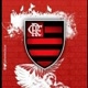 Jovem Flamenguista❤️🖤