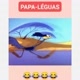papaleguas 😎